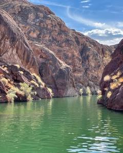 D256531A-C031-4B3F-816E-B54A72719E9C