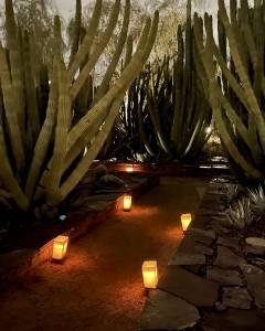 2A1B5305-49E0-4960-A15C-4869B38D0CD0